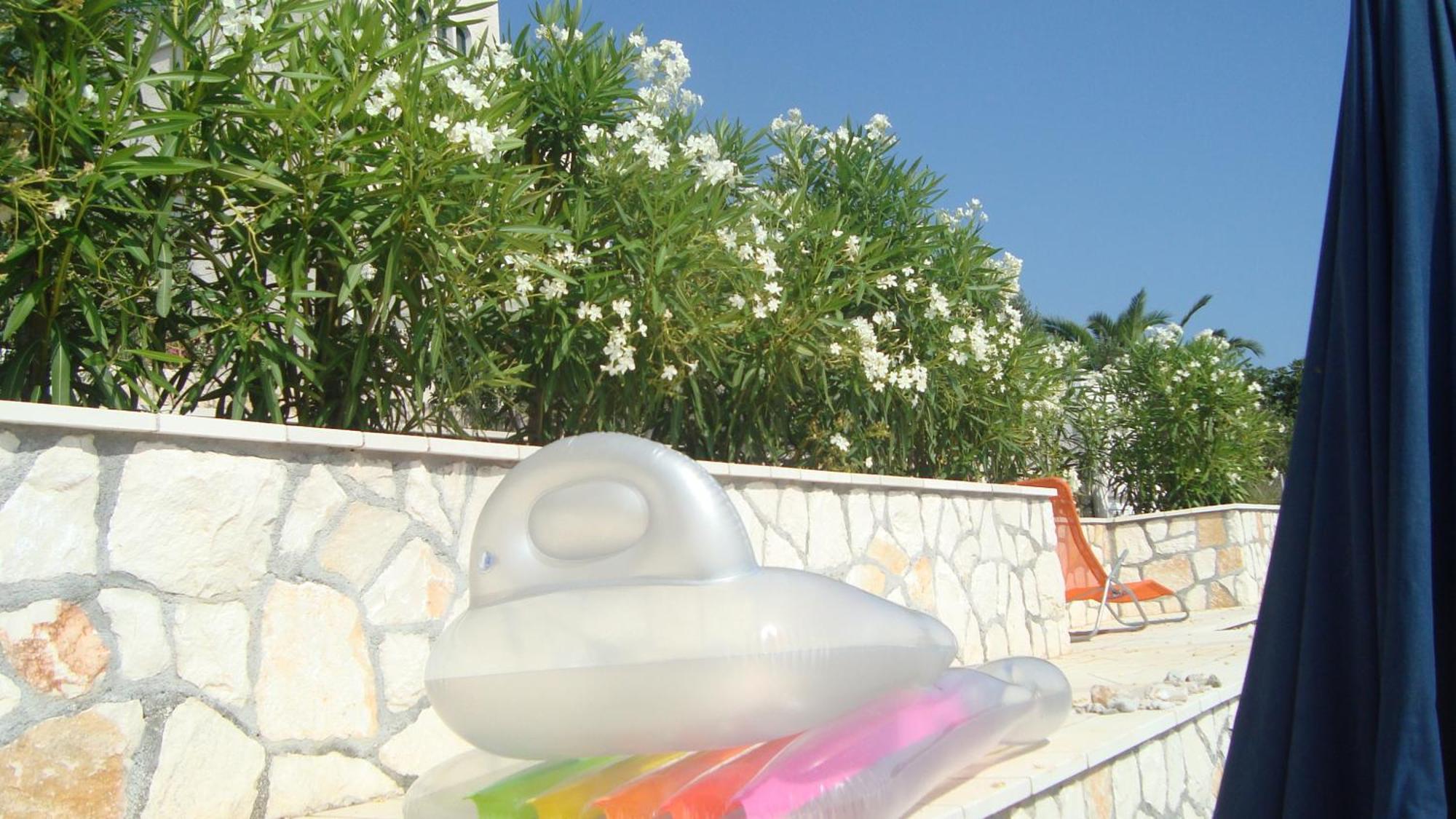 Apartments Niana With Heated Seawater Swimingpool Donji Okrug  Ngoại thất bức ảnh